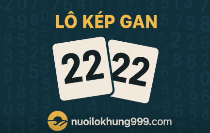 Hình ảnh lô kép gan với nền số học, hiển thị cặp số 22 và logo nuoilokhung999.com